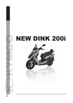 NEW DINK 200i