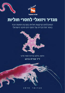 מגדיר ויזואלי לחסרי חוליות