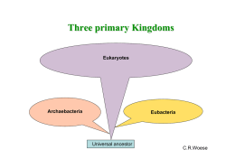 Three primary Kingdoms