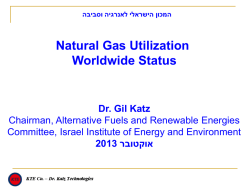 המכון הישראלי לאנרגיה וסביבה