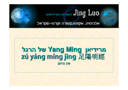 Yang Ming של הרגל מרידיאן zú yáng míng jīng 足陽明經