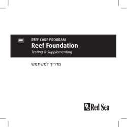 Reef Foundation