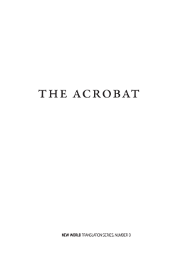 The Acrobat - with hidden noise