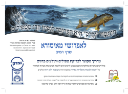 עלון על טפילים בדגים תשע`א.pdf - 1 Mb