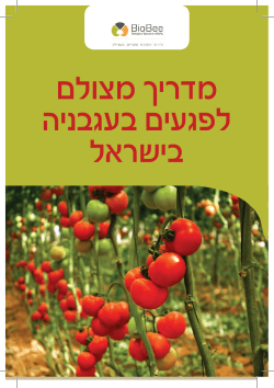 מדריך מצולם לפגעים בעגבניה בישראל - ביו-בי