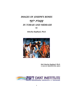 images of joseph`s bones עַצְמוֹת יוֹסֵ ף in torah