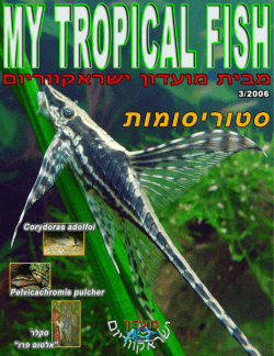 להוריד גיליון (גודל קובץ: 4750 ק"ב) - My Tropical Fish