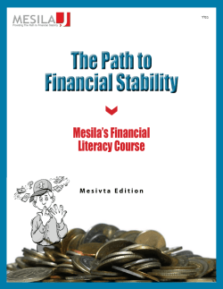 The Path to Financial Stability The Path to Financial Stability
