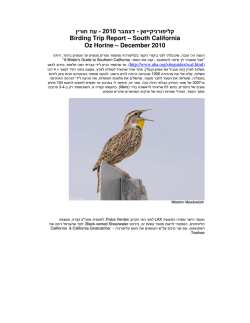 עוז חורין 2010 - דצמבר - קליפורניקיישן Birding Trip Report – South