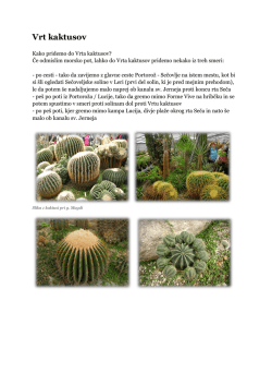 Vrt kaktusov