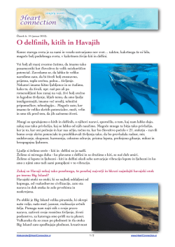 Članek 14 - O delfinih, kitih in Havajih
