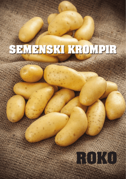 ROKO - Semenski krompir