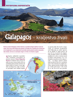 Galapagos– kraljestvo živali