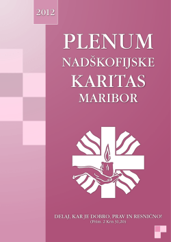 Plenumska knjiga NŠKM 2012 - Nadškofijska karitas Maribor