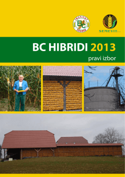 BC HIBRIDI 2013