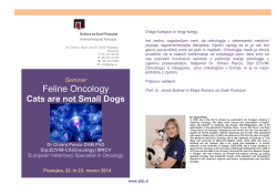 Feline Oncology - Bolnica za živali Postojna