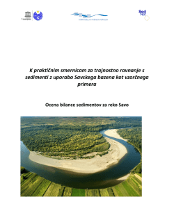 Ocena bilance sedimentov za reko Savo