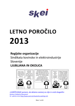 Letno poročilo 2013 ReO SKEI LJ in okolica kor