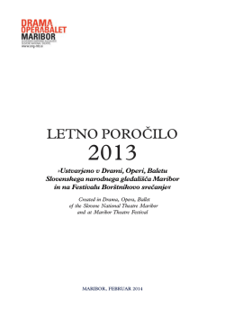 Letno poročilo 2013