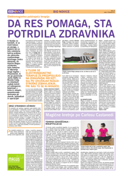 Slovenske Novice, februar 2011
