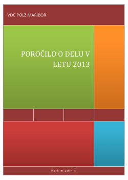 Poročilo o delu za leto 2013.pdf