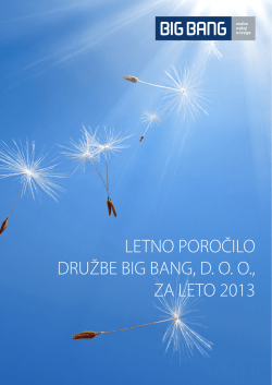 LETNO POROČILO DRUŽBE BIG BANG, D. O. O., ZA LETO 2013