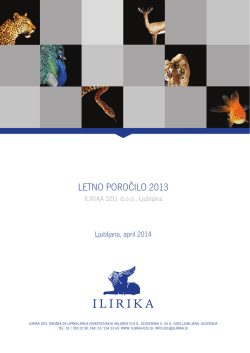 Revidirano letno poročilo 2013