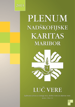 NŠKM - Plenumska 2013 - Nadškofijska karitas Maribor
