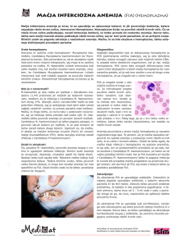 Mačja infekciozna anemija (FIA) (Hemoplazma)