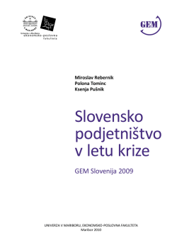 Slovensko podjetništvo v letu krize