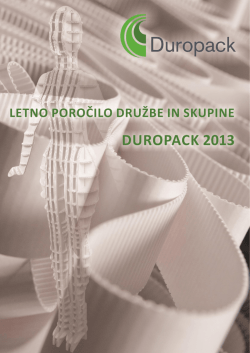 Letno poročilo Duropack d.o.o. in konsolidirano LP za leto 2013