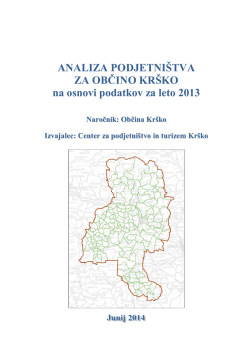 Analiza podjetništva za občino Krško na podlagi podatkov za leto
