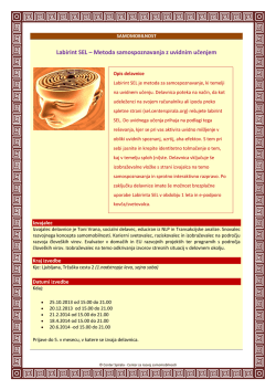 Labirint SEL_Metoda samospoznavanja.pdf