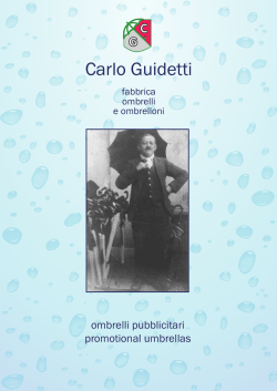 Carlo Guidetti - ZI-MAG