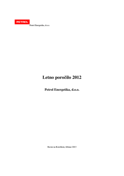 Letno poročilo 2012