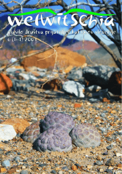 Welwitschia 6 (1_4) (2003) - Društvo prijateljev kaktusov Slovenije