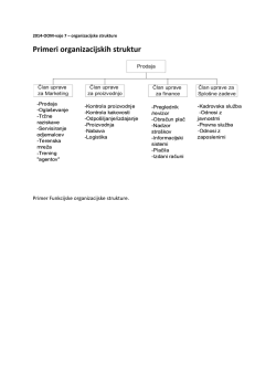 Primeri organizacijskih struktur