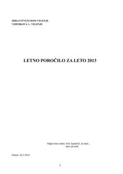 letno poročilo za leto 2013