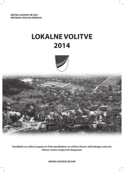 Razglas lokalne volitve 2014 publikacija