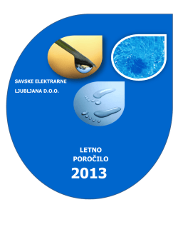 LP 2013.pdf - savske elektrarne ljubljana