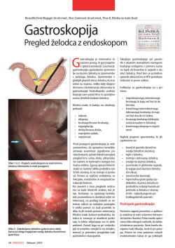 “gastroskopija” (.pdf) - Prva