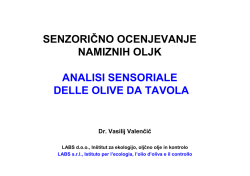 senzorično ocenjevanje namiznih oljk analisi sensoriale delle olive