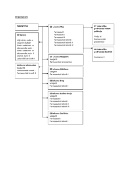 Organigram DIREKTOR