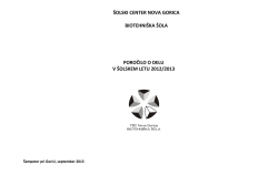 poročilo o delu v &scaron;olskem letu 2012/2013