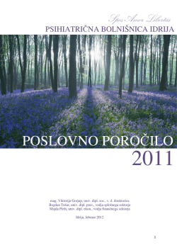 POSLOVNO POROČILO