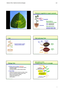 Primarni vegetativni organi semenk List Deli zelenega lista Naloge