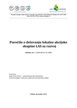Letno poročilo za leto 2013.pdf