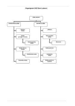 Organigram - Dom Lukavci