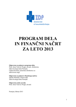 program dela in finančni načrt za leto 2013