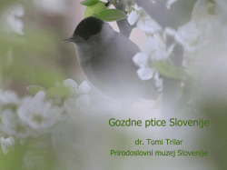Gozdne ptice Slovenije